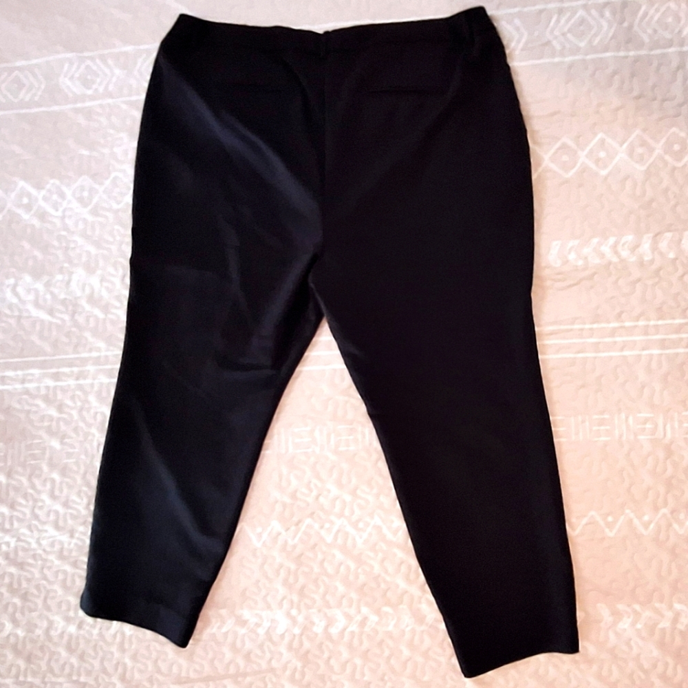 🌺 2/$20. Roz & Ali Womens Dress Pants Size 16
